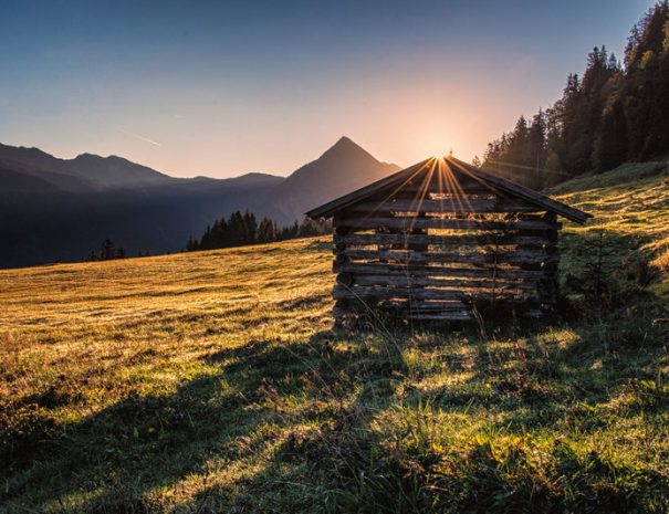 Hütte mit Blick auf Üntschenspitze © Michael Meusburger - Bregenzerwald Tourismus.jpg